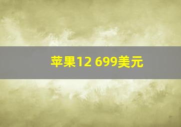 苹果12 699美元